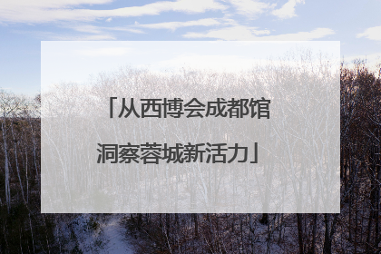 从西博会成都馆洞察蓉城新活力