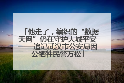 他走了，编织的“数据天网”仍在守护大城平安——追记武汉市公安局因公牺牲民警万松