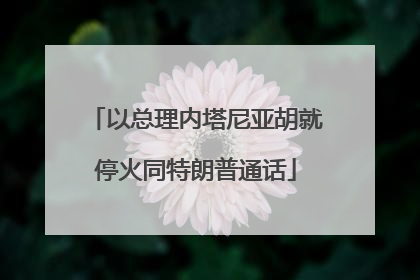 以总理内塔尼亚胡就停火同特朗普通话