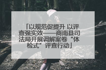 以规范促提升 以评查强实效——商南县司法局开展调解案卷“体检式”评查行动