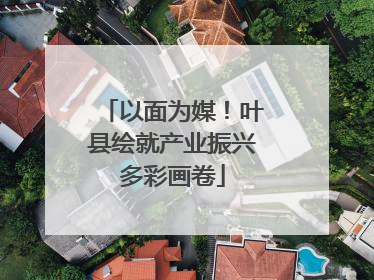 以面为媒！叶县绘就产业振兴多彩画卷