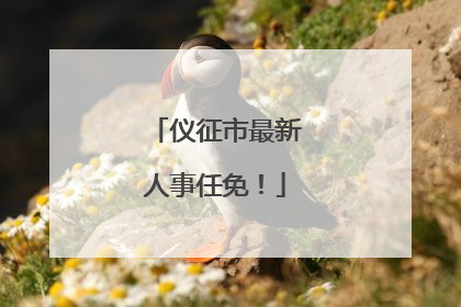 仪征市最新人事任免！