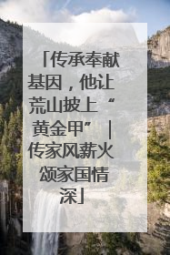 传承奉献基因，他让荒山披上“黄金甲”｜传家风薪火 颂家国情深