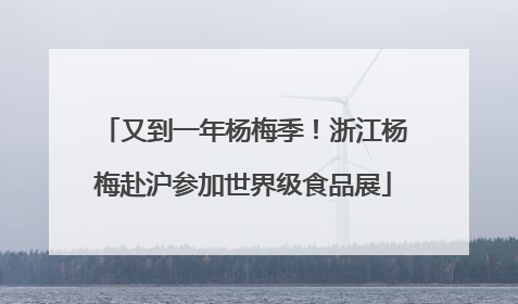 又到一年杨梅季！浙江杨梅赴沪参加世界级食品展