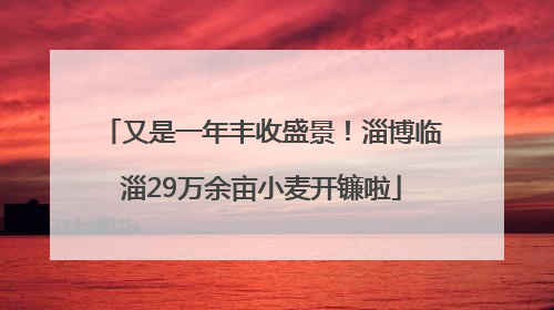 又是一年丰收盛景！淄博临淄29万余亩小麦开镰啦