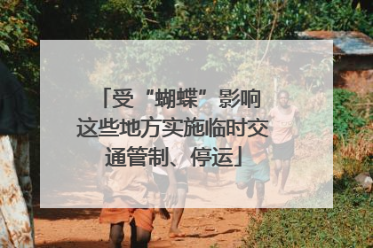 受“蝴蝶”影响 这些地方实施临时交通管制、停运