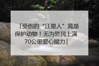 受伤的“汪星人”竟是保护动物！无为警民上演70公里爱心接力