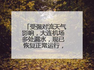 受强对流天气影响，大连机场多处漏水，现已恢复正常运行，气象台回应