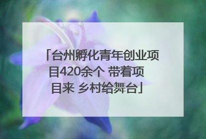 台州孵化青年创业项目420余个 带着项目来 乡村给舞台