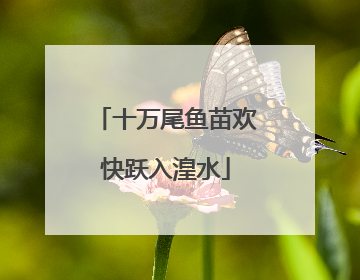 十万尾鱼苗欢快跃入湟水