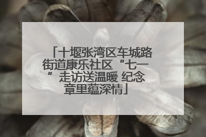 十堰张湾区车城路街道康乐社区“七一”走访送温暖 纪念章里蕴深情