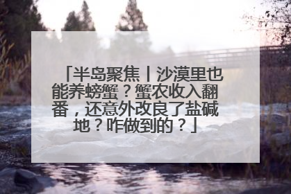 半岛聚焦丨沙漠里也能养螃蟹？蟹农收入翻番，还意外改良了盐碱地？咋做到的？