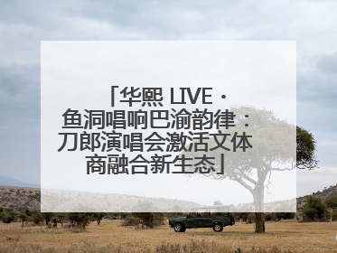 华熙 LIVE・鱼洞唱响巴渝韵律：刀郎演唱会激活文体商融合新生态