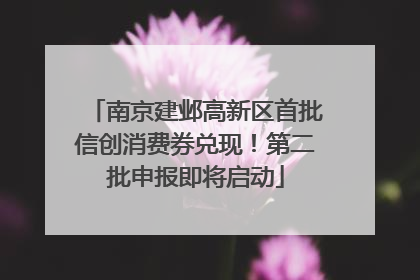 南京建邺高新区首批信创消费券兑现！第二批申报即将启动