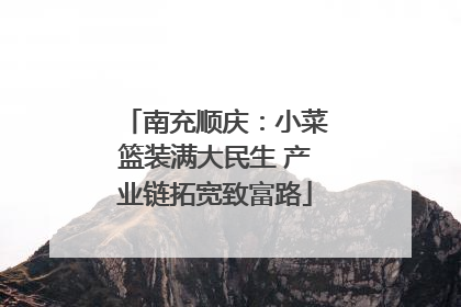 南充顺庆：小菜篮装满大民生 产业链拓宽致富路