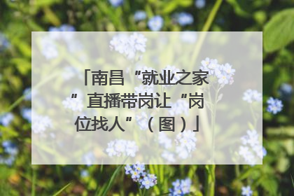 南昌“就业之家”直播带岗让“岗位找人”（图）