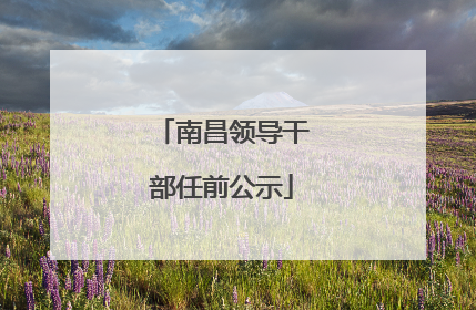 南昌领导干部任前公示
