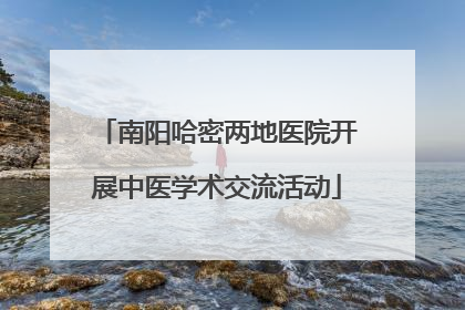 南阳哈密两地医院开展中医学术交流活动