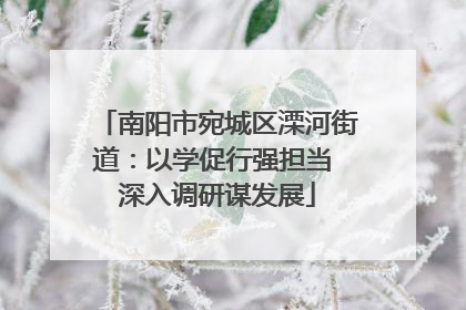 南阳市宛城区溧河街道：以学促行强担当 深入调研谋发展