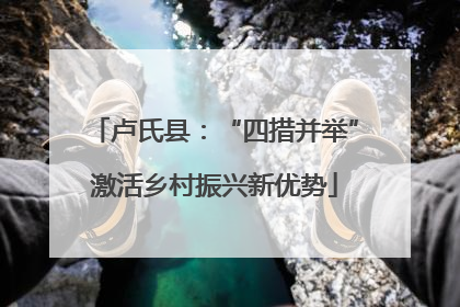卢氏县：“四措并举”激活乡村振兴新优势