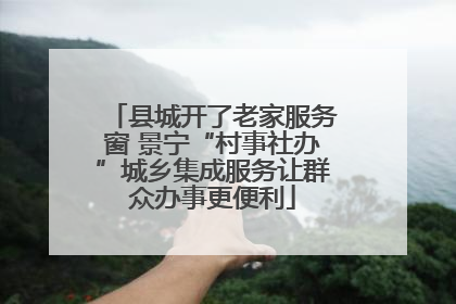 县城开了老家服务窗 景宁“村事社办”城乡集成服务让群众办事更便利