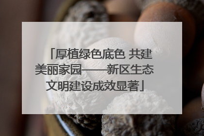 厚植绿色底色 共建美丽家园——新区生态文明建设成效显著