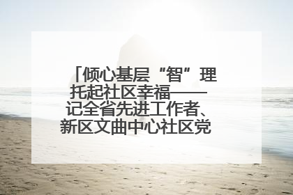 倾心基层“智”理 托起社区幸福——记全省先进工作者、新区文曲中心社区党委书记董世弘