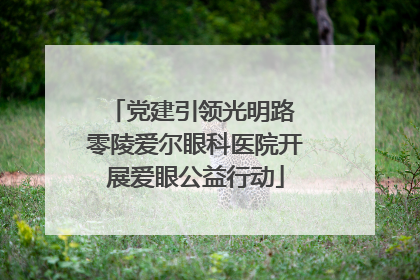 党建引领光明路 零陵爱尔眼科医院开展爱眼公益行动