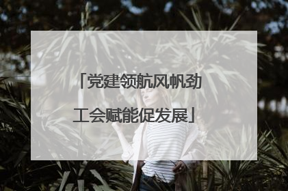 党建领航风帆劲 工会赋能促发展