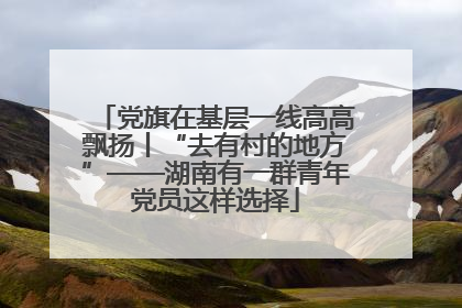 党旗在基层一线高高飘扬丨“去有村的地方”——湖南有一群青年党员这样选择