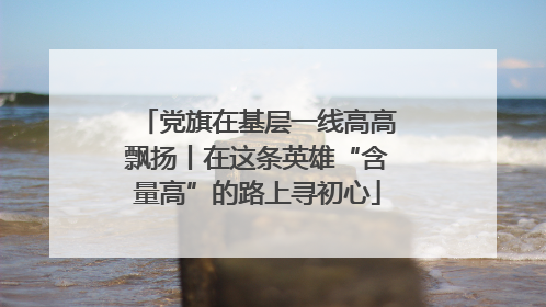 党旗在基层一线高高飘扬丨在这条英雄“含量高”的路上寻初心
