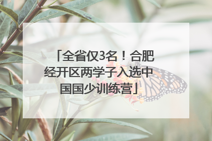 全省仅3名！合肥经开区两学子入选中国国少训练营
