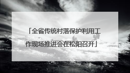 全省传统村落保护利用工作现场推进会在松阳召开