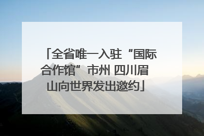 全省唯一入驻“国际合作馆”市州 四川眉山向世界发出邀约