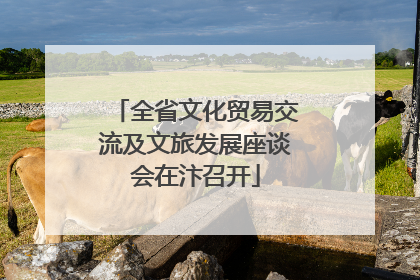 全省文化贸易交流及文旅发展座谈会在汴召开