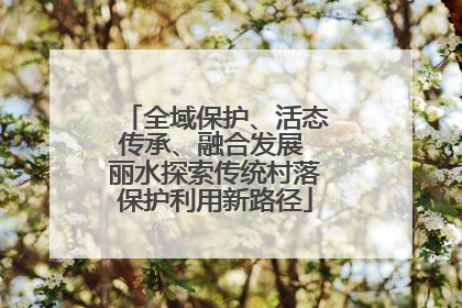 全域保护、活态传承、融合发展 丽水探索传统村落保护利用新路径