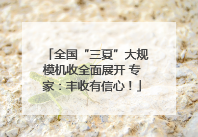 全国“三夏”大规模机收全面展开 专家：丰收有信心！