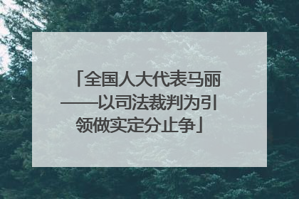 全国人大代表马丽——以司法裁判为引领做实定分止争