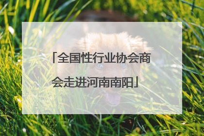 全国性行业协会商会走进河南南阳