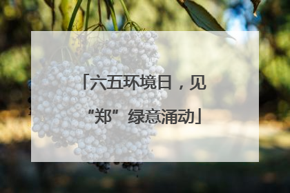 六五环境日，见“郑”绿意涌动