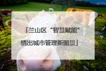 兰山区“智慧赋能”绣出城市管理新图景