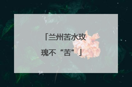 兰州苦水玫瑰不“苦”