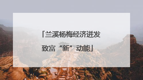 兰溪杨梅经济迸发致富“新”动能