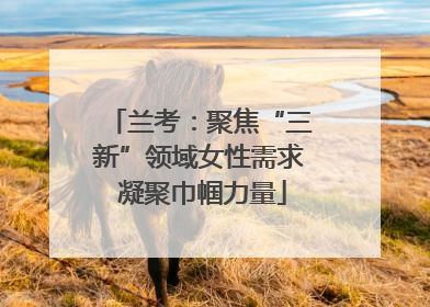 兰考：聚焦“三新”领域女性需求 凝聚巾帼力量