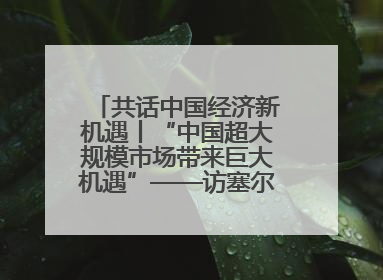 共话中国经济新机遇丨“中国超大规模市场带来巨大机遇”——访塞尔维亚经济部国务秘书尼科利奇