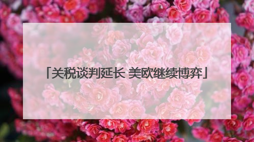 关税谈判延长 美欧继续博弈