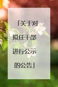 关于对拟任干部进行公示的公告