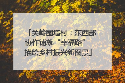 关岭围墙村：东西部协作铺就“幸福路” 描绘乡村振兴新图景
