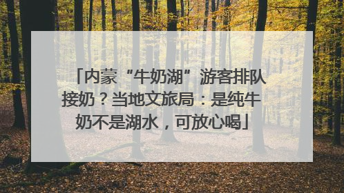 内蒙“牛奶湖”游客排队接奶？当地文旅局：是纯牛奶不是湖水，可放心喝