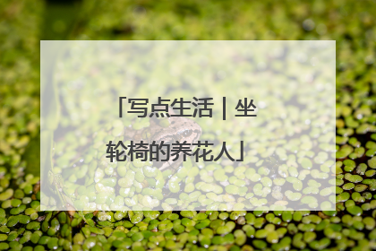 写点生活｜坐轮椅的养花人